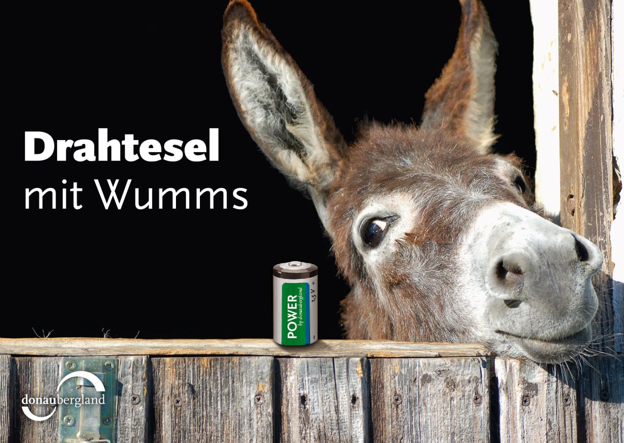 Donaubergland Postkartenmotiv mit Esel, der aus einem Stall schaut und eine 1,5 Volt Batterie neben sich stehen hat.