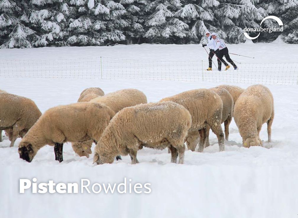 Donaubergland Postkartenmotiv mit Schafen auf einer Weide, die im Schnee nach Nahrung suchen und im Hintergrund zwei Langläufer.