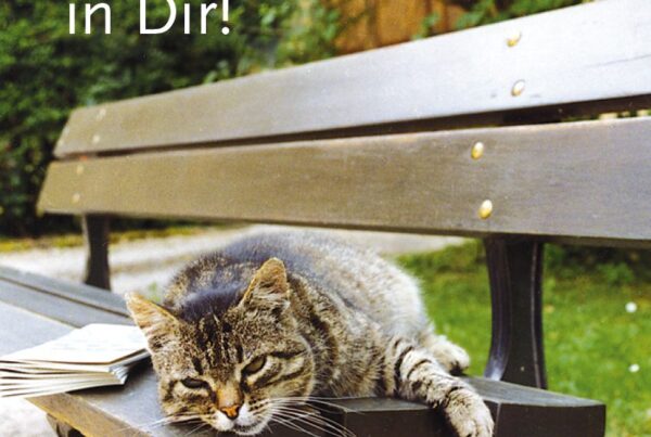 Donaubergland Postkartenmotiv mit liegender Tigerkatze auf einer Parkbank