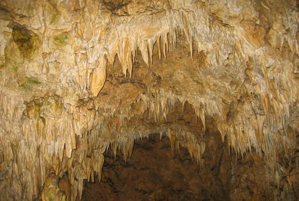 Bild von einer Höhlendecke mit kleinen Tropfsteinen