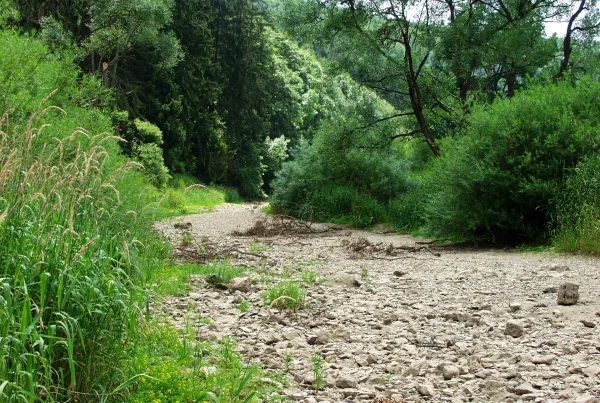 Trockenes Donau-Flussbett