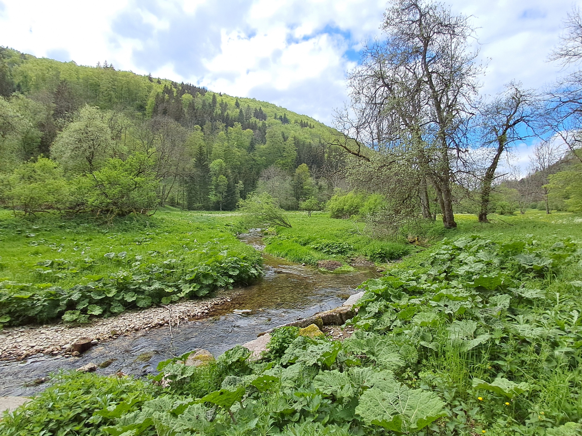 Lippach im Frühjahr