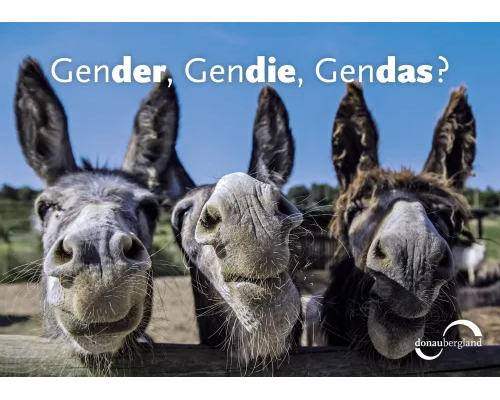 Gender, gendie, gendas?